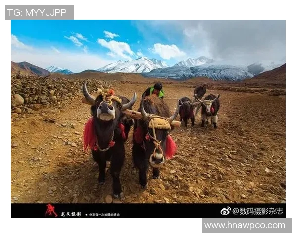 昌都八宿足球球星巴桑带领家乡队伍冲击全国赛场的精彩历程 昌都八宿足球球星巴桑带领家乡队伍冲击全国赛场的精彩历程