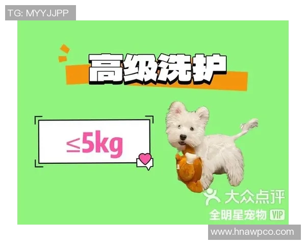 足球球星与宠物猫的独特情缘揭秘:宠物陪伴下的明星生活与温情瞬间 足球球星与宠物猫的独特情缘揭秘:宠物陪伴下的明星生活与温情瞬间